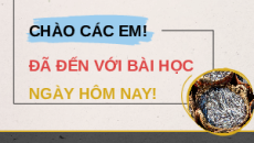 Giáo án Powerpoint Bài 8: Vai trò và triển vọng của thủy sản Công nghệ 12 Kết nối tri thức