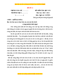 Đề thi cuối kì 1 Ngữ Văn 7 Chân trời sáng tạo (Đề 14)