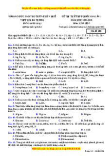 Đề thi thử Hóa Học trường Hai Bà Trưng năm 2023