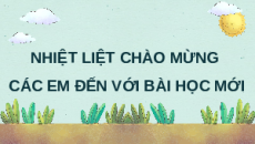 Giáo án Powerpoint Tập tính ở động vật Sinh học 11 Cánh diều