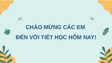 Giáo án Powerpoint Tế bào nhân thực Sinh học 10 Kết nối tri thức