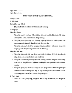 Giáo án Bài 6 Sinh học 12 Kết nối tri thức: Thực hành: Tách chiết DNA
