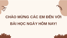 Giáo án Powerpoint Bài 20 Lịch sử 10 Chân trời sáng tạo: Khối đại đoàn kết dân tộc Việt Nam