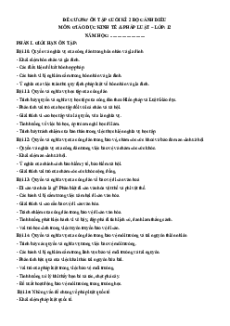 Đề cương Cuối kì 2 Kinh tế pháp luật 12 Cánh diều (có lời giải)