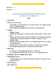Giáo án Bài 13 Tự nhiên xã hội lớp 2 Cánh diều: Thực hành Tìm hiểu môi trường sống của thực vật và động vật