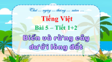 Giáo án Powerpoint Bài 5: Biển và rừng cây dưới lòng đất Tiếng việt lớp 4 Chân trời sáng tạo