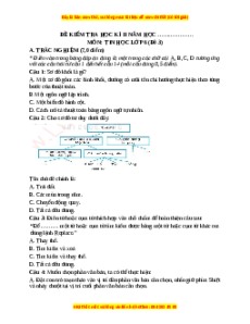 Đề thi cuối kì 2 Tin học 6 Kết nối tri thức - Đề 3