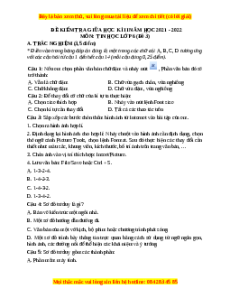 Đề thi giữa kì 2 Tin học 6 Kết nối tri thức - Đề 3