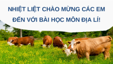 Giáo án Powerpoint Bài 17 Công nghệ chăn nuôi 11 Kết nối tri thức: Nuôi dưỡng và chăm sóc vật nuôi