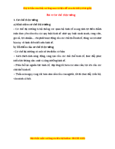 Lý thuyết KTPL 10 Kết nối tri thức Bài 4: Cơ chế thị trường