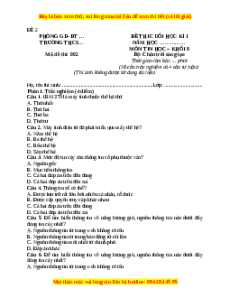 Đề thi cuối kì 1 Tin học 8 Chân trời sáng tạo (Đề 2)