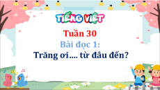 Giáo án Powerpoint Bài 17: Vươn tới trời cao Tiếng Việt lớp 5 Cánh diều