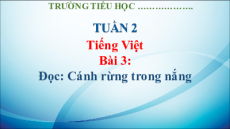 Giáo án Powerpoint Bài 3: Cánh rừng trong nắng Tiếng việt lớp 3 Kết nối tri thức
