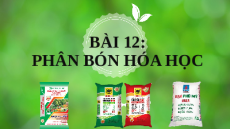 Giáo án Powerpoint Phân bón hóa học Hóa học - KHTN 8 Kết nối tri thức