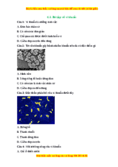 Trắc nghiệm Vi khuẩn KHTN 6 Kết nối tri thức