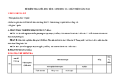 Bộ 5 đề thi giữa kì 2 Sinh học 11 Chân trời sáng tạo có đáp án