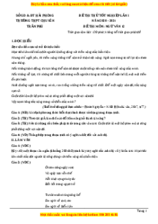 Đề thi thử Ngữ Văn trường Chuyên Trần Phú lần 1 năm 2021