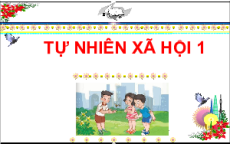 Giáo án Powerpoint Bài 1: Gia đình em Tự nhiên xã hội lớp 1 Cánh diều