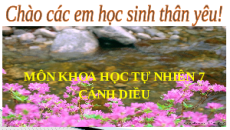 Giáo án Powerpoint Trao đổi nước và các chất dinh dưỡng ở thực vật Sinh học - KHTN 7 Cánh diều