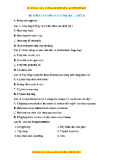 Đề thi giữa kì 2 Sinh học 11 Kết nối tri thức (Đề 3)