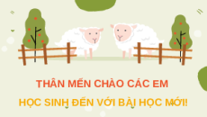 Giáo án Powerpoint Bài 4: Chọn giống vật nuôi Công nghệ chăn nuôi 11 Kết nối tri thức