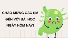 Giáo án Powerpoint Chuyên đề Bài 10: Ngộ độc thực phẩm Sinh học 11 Kết nối tri thức