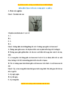 Đề thi cuối kì 2 Sinh học 11 Cánh diều (Đề 1)