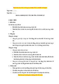 Giáo án Khái quát về cảm ứng ở sinh vật Sinh học 11 Chân trời sáng tạo