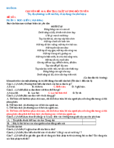 Giáo án Chuyên đề 16. Kiểm tra chất lượng đội tuyển
