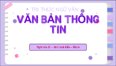 Giáo án Powerpoint Bài 4: Văn bản thông tin Ngữ văn 11 Cánh diều