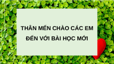 Giáo án Powerpoint Bài 20 Khoa học lớp 5 Cánh diều: Tác động của con người đến môi trường