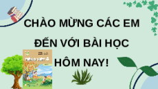 Giáo án Powerpoint Luyện từ và câu: Luyện tập về danh từ, động từ, tình từ (trang 133) Tiếng việt lớp 4 Kết nối tri thức (Phiên bản 2)