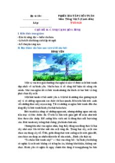 Bài tập cuối tuần Tiếng Việt lớp 5 Cánh diều Tuần 28