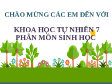 Bài giảng Powerpoint Khái quát về sinh trưởng và phát triển ở sinh vật Sinh học - KHTN 7 Kết nối tri thức