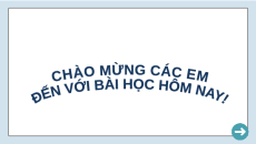 Giáo án Powerpoint Chuyên đề Bài 11: Dự án Điều tra về hiện trạng mất vệ sinh an toàn thực phẩm tại địa phương Sinh học 11 Kết nối tri thức