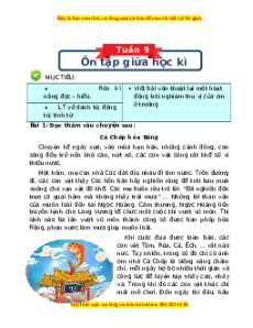 Bài tập cuối tuần Tiếng Việt 4 Tuần 9 Chân trời sáng tạo (có lời giải)