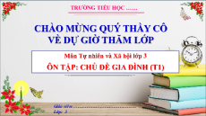 Giáo án Powerpoint Ôn tập: chủ đề gia đình Tự nhiên xã hội lớp 3 Cánh diều