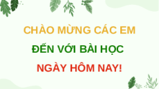 Giáo án Powerpoint Bài 30: Diễn thế sinh thái Sinh học 12 Kết nối tri thức