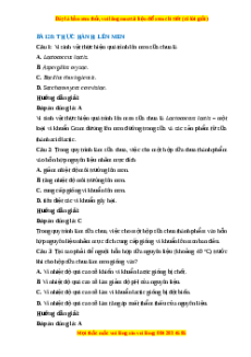 Trắc nghiệm Sinh học 10 Bài 28 Chân trời sáng tạo: Thực hành: Lên men