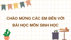 Giáo án Powerpoint Bài 18: Chu kỳ tế bào Sinh học 10 Chân trời sáng tạo