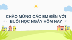 Giáo án Powerpoint Bài 7: Giới thiệu về rừng Công nghệ 7 Kết nối tri thức