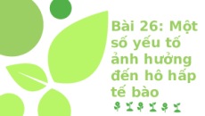 Bài giảng Powerpoint Một số yếu tố ảnh hưởng đến hô hấp tế bào Sinh học - KHTN 7 Kết nối tri thức