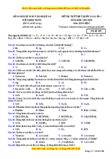Đề thi thử Hóa học Sở Nghệ An năm 2023