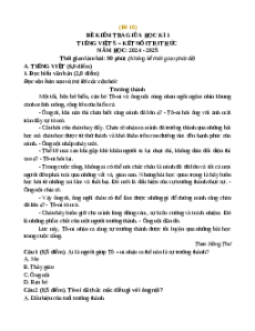Đề thi giữa kì 1 Tiếng Việt lớp 5 Kết nối tri thức (Đề 10)