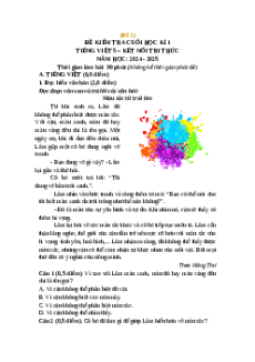 Đề thi cuối kì 1 Tiếng Việt lớp 5 Kết nối tri thức (Đề 2)