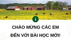 Giáo án Powerpoint Chuyên đề Bài 1: Bài mở đầu Công nghệ chăn nuôi 11 Kết nối tri thức