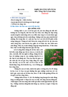 Bài tập cuối tuần Tiếng Việt lớp 5 Cánh diều Tuần 29