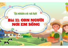 Giáo án Powerpoint Bài 11: Con người nơi em sống Tự nhiên xã hội lớp 1 Kết nối tri thức