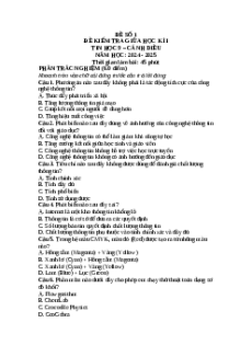 Đề thi giữa kì 1 Tin học 9 Cánh diều (Đề 1)