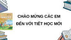 Giáo án Powerpoint Ôn tập và đánh giá giữa học kì 1 Tiếng việt lớp 4 Kết nối tri thức (Phiên bản 2)